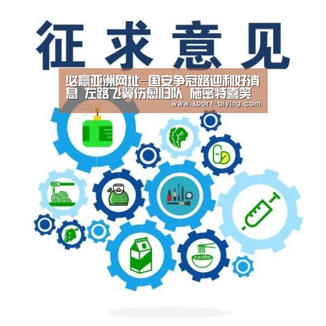 必赢亚洲网址-国安争冠路迎利好消息 左路飞翼伤愈归队 施密特喜笑颜开(图4) 必赢亚洲网址