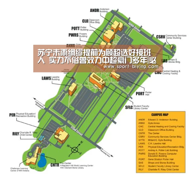 苏宁未雨绸缪提前为顾超选好接班人 实力不俗曾效力中超豪门多年|必赢亚洲(图1) 必赢亚洲网址