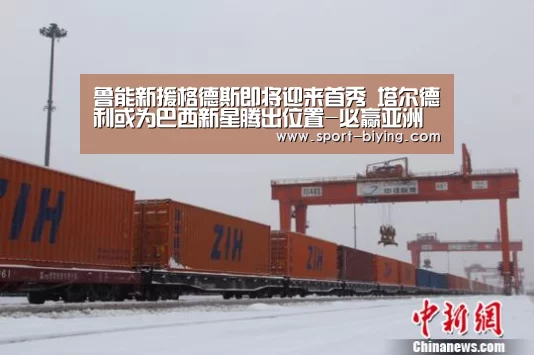 鲁能新援格德斯即将迎来首秀 塔尔德利或为巴西新星腾出位置-必赢亚洲(图2) 必赢亚洲