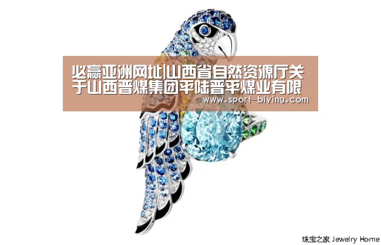必赢亚洲网址|山西省自然资源厅关于山西晋煤集团平陆晋平煤业有限责任公司等3个协议出让铝土矿探矿权可行性论证报告评审结果公示_政策法规_(图3) 必赢亚洲